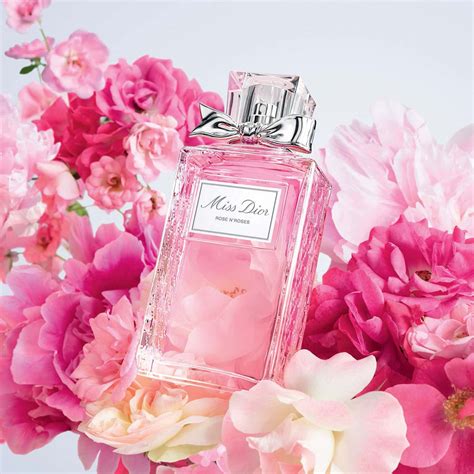miss dior rose bush